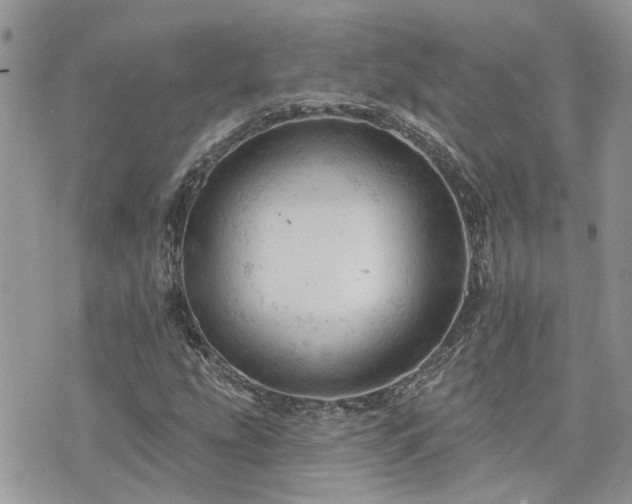 X0000076301207200609291027