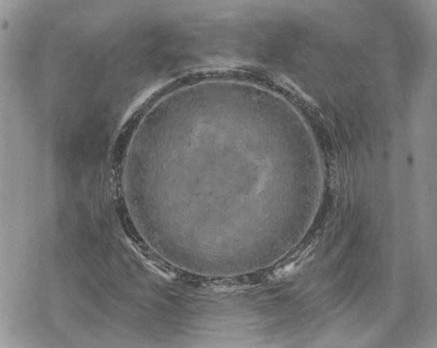 X0000076301208200609291027