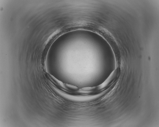 X0000076301210200609291027