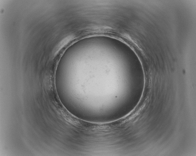 X0000076301211200609291027