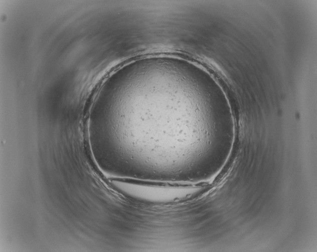 X0000076301212200609291027