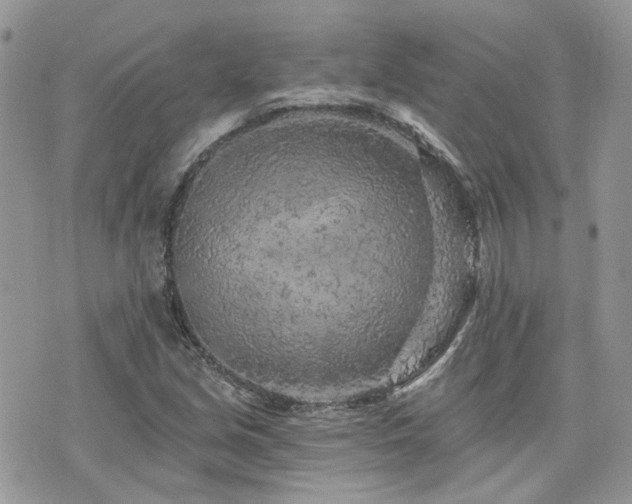 X0000076301213200609291027