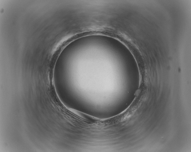 X0000076301214200609291027