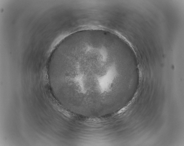 X0000076301215200609291027