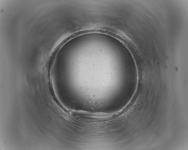 X0000076301216200609291027