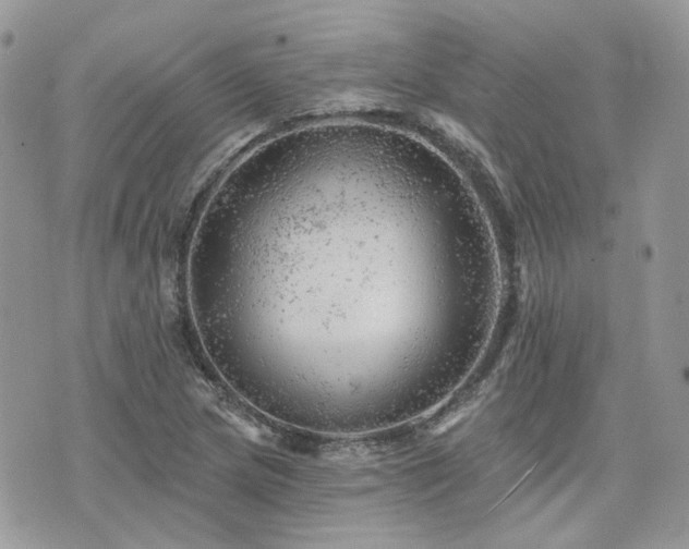 X0000076301217200609291027