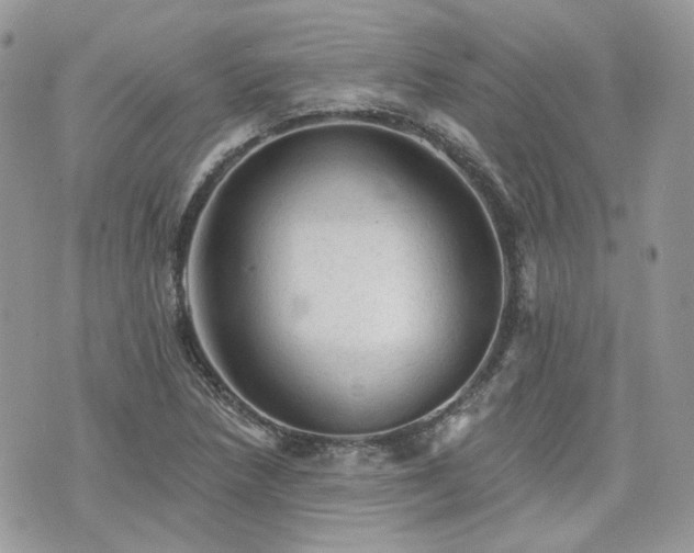 X0000076301218200609291027