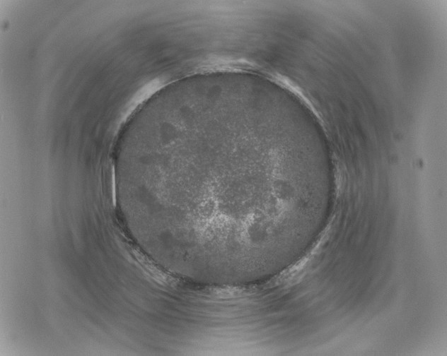 X0000076301219200609291027