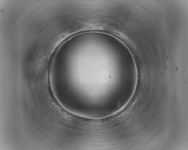 X0000076301220200609291027