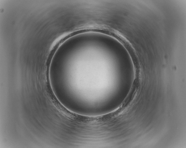 X0000076301222200609291027