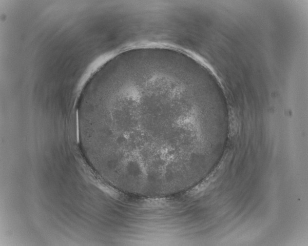 X0000076301223200609291027