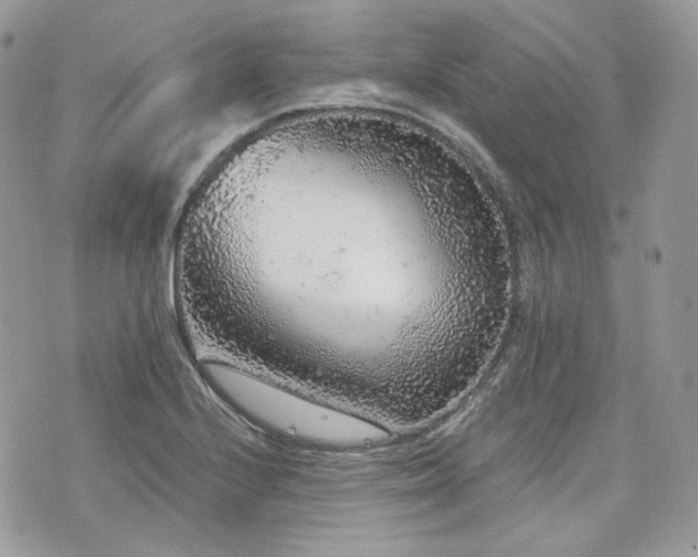 X0000076301224200609291027