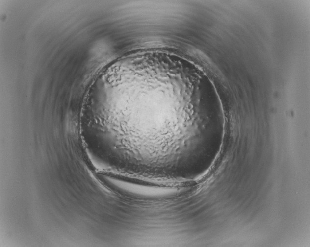 X0000076301225200609291027