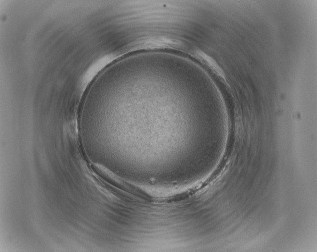 X0000076301226200609291027