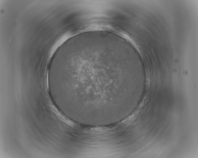 X0000076301227200609291027