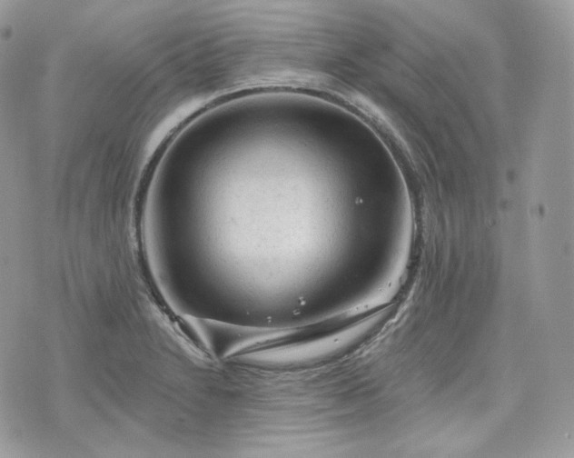 X0000076301230200609291027