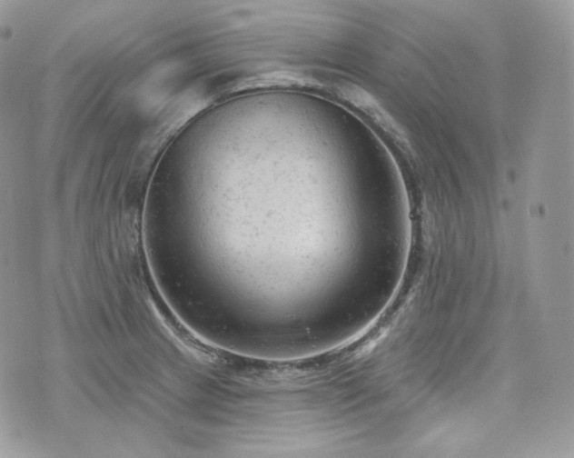 X0000076301233200609291027