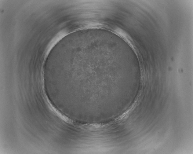 X0000076301235200609291027