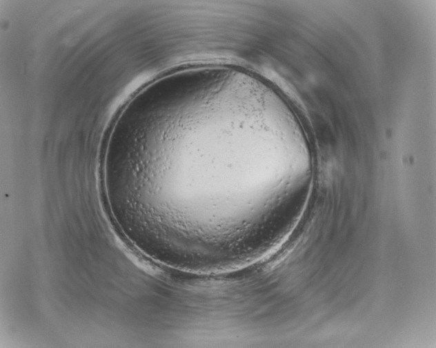 X0000076301237200609291027