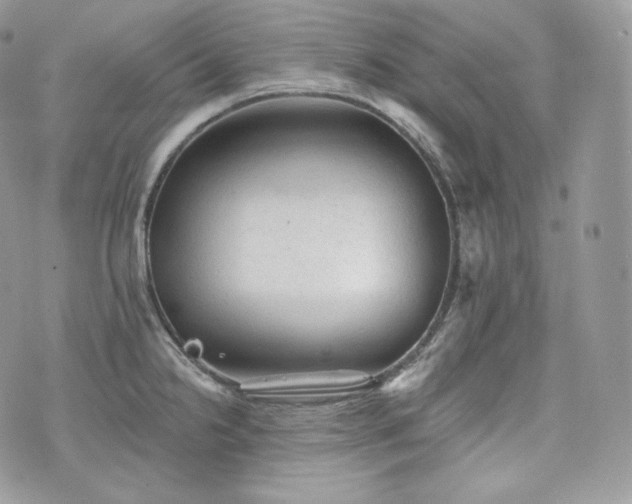 X0000076301238200609291027