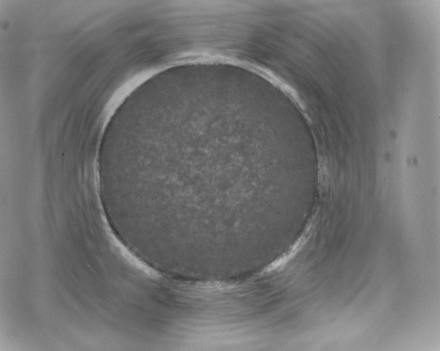 X0000076301239200609291027