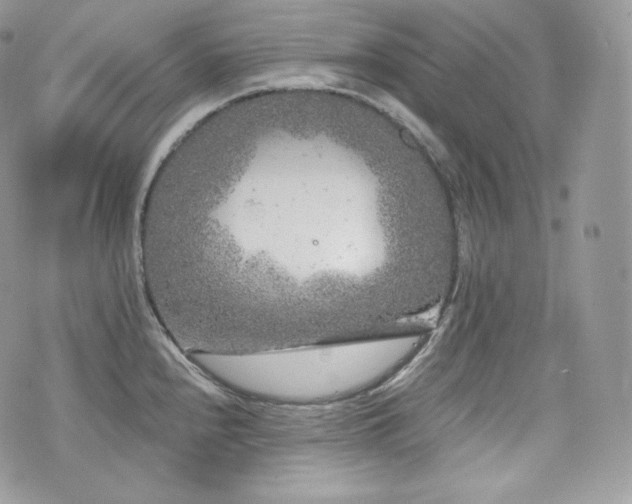 X0000076301240200609291027