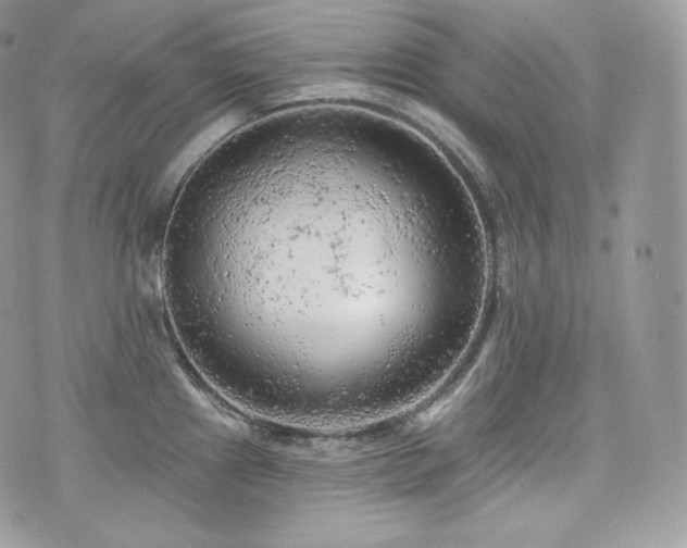 X0000076301241200609291027