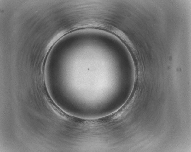 X0000076301242200609291027