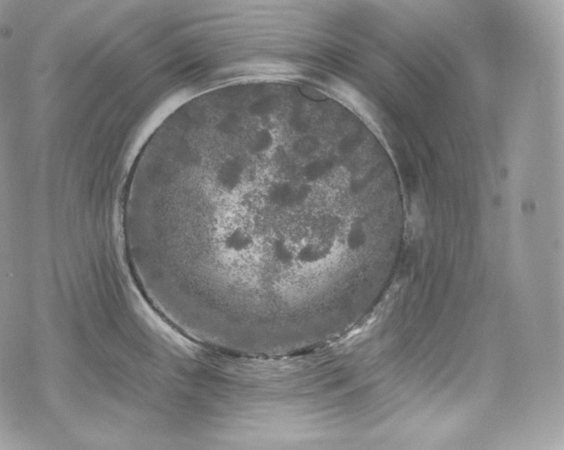 X0000076301243200609291027