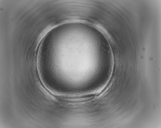 X0000076301244200609291027