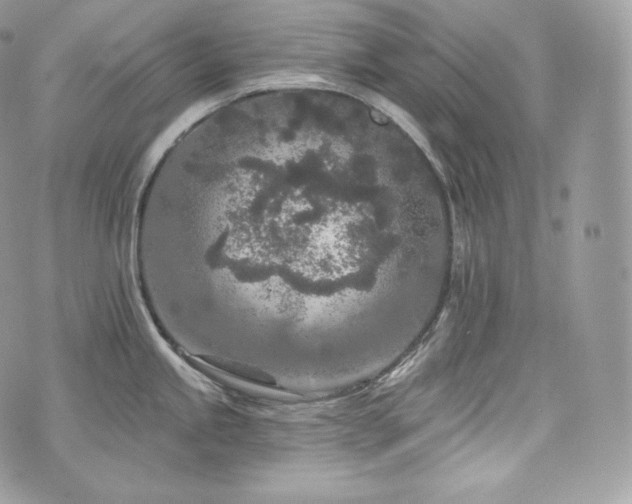 X0000076301245200609291027