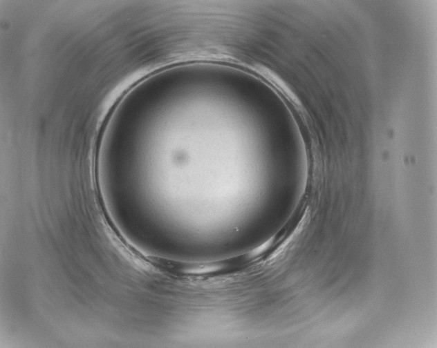 X0000076301246200609291027