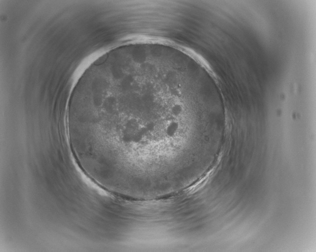 X0000076301247200609291027