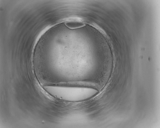 X0000076301248200609291027