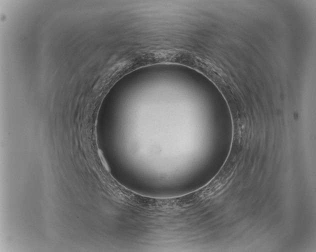 X0000076301249200609291027