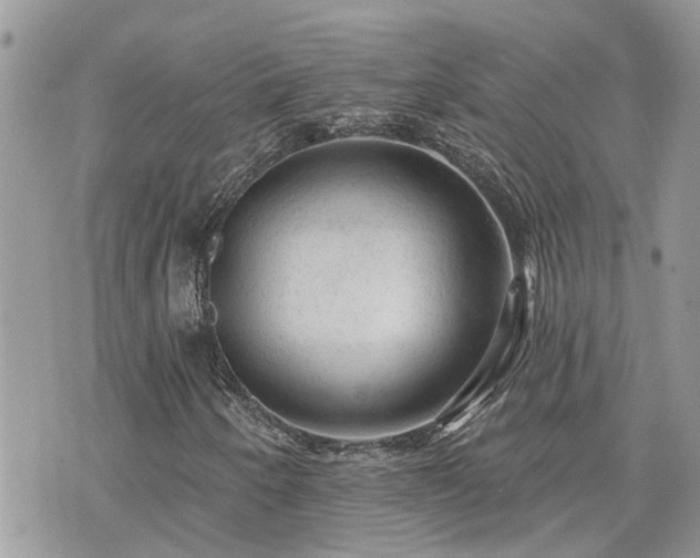 X0000076301250200609291027