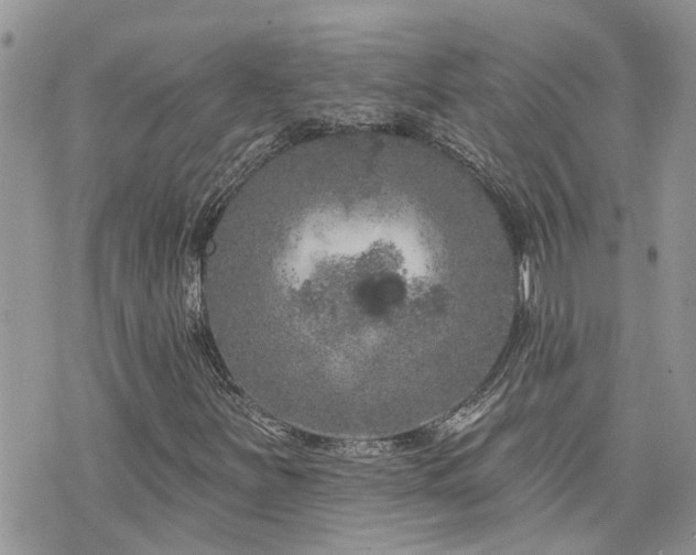 X0000076301251200609291027