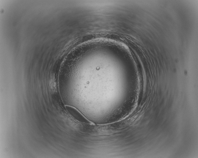 X0000076301252200609291027