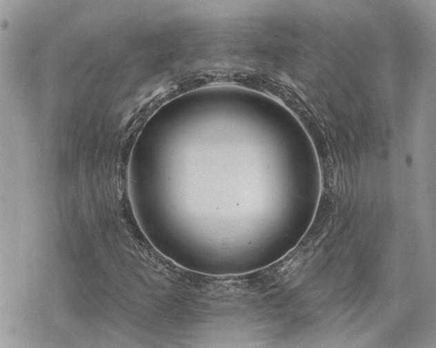 X0000076301253200609291027