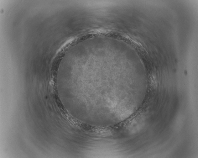 X0000076301254200609291027