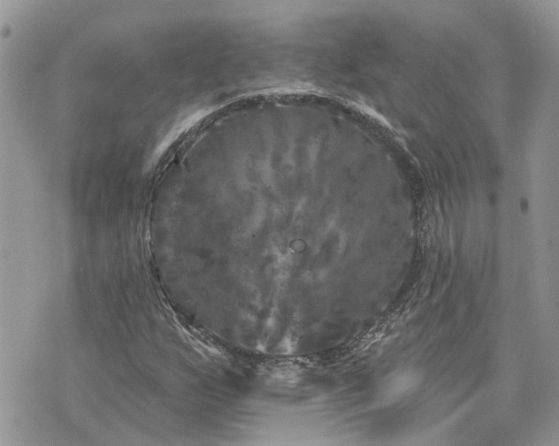 X0000076301255200609291027