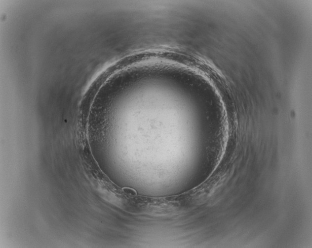 X0000076301256200609291027