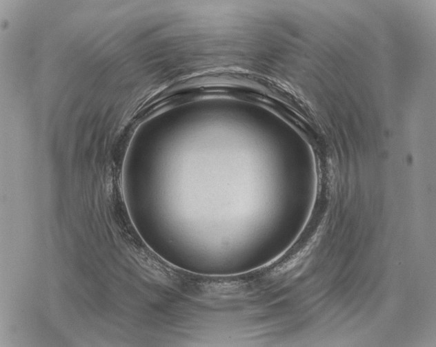 X0000076301257200609291027