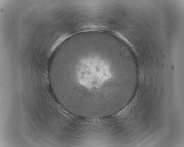 X0000076301259200609291026