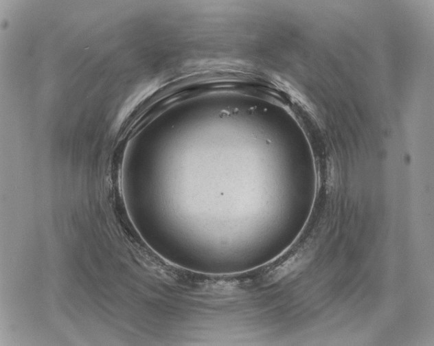 X0000076301261200609291026