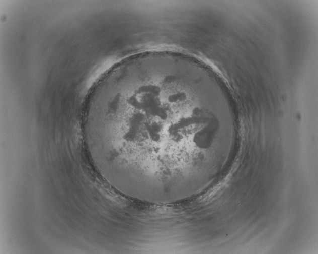 X0000076301263200609291026