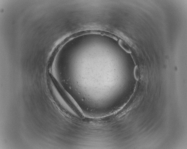 X0000076301264200609291026