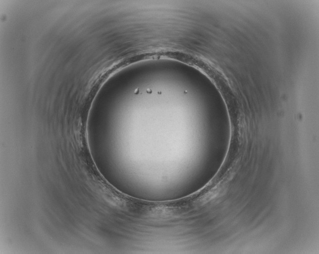 X0000076301265200609291026