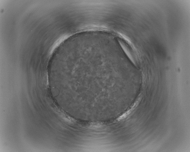 X0000076301267200609291026