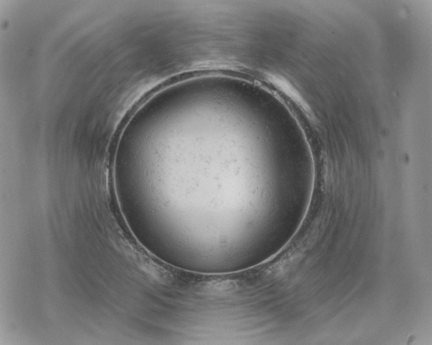 X0000076301268200609291026